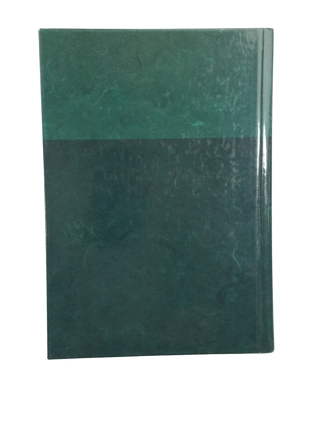 Life Application Study Bible Large Print NLT1 (New Living T)