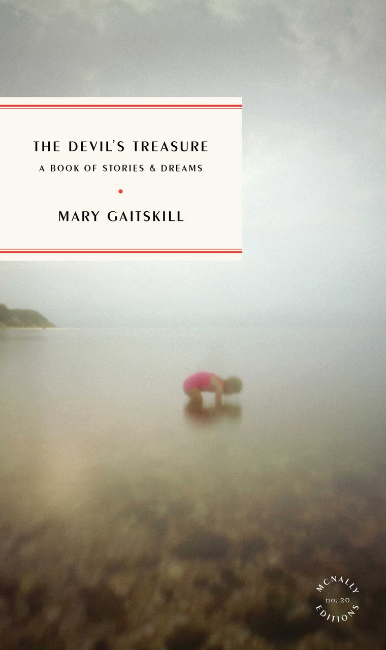 The Devil's Treasure: A Book of Stories and Dreams (McNally Editions)