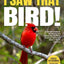 I Saw That Bird!: A Simple Guide to Identifying and Attracting the Most Common Backyard Birds in North America