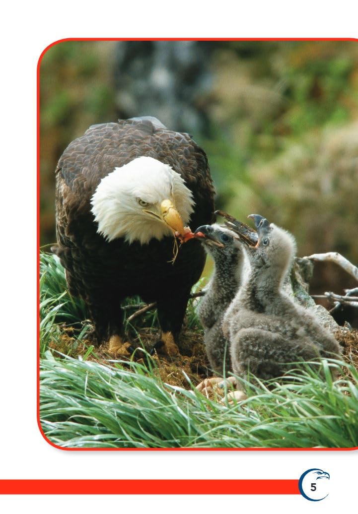 America's Eagle (TIME FOR KIDS Nonfiction Readers)