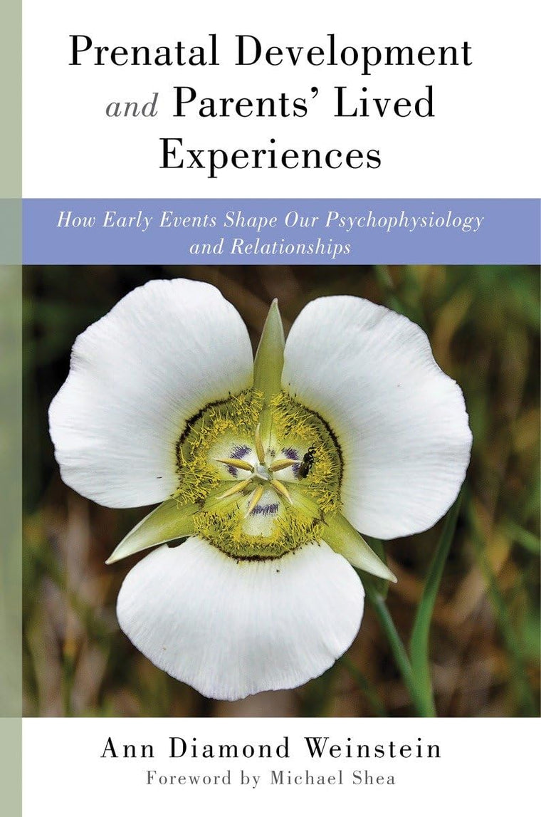 Prenatal Development and Parents' Lived Experiences: How Ear