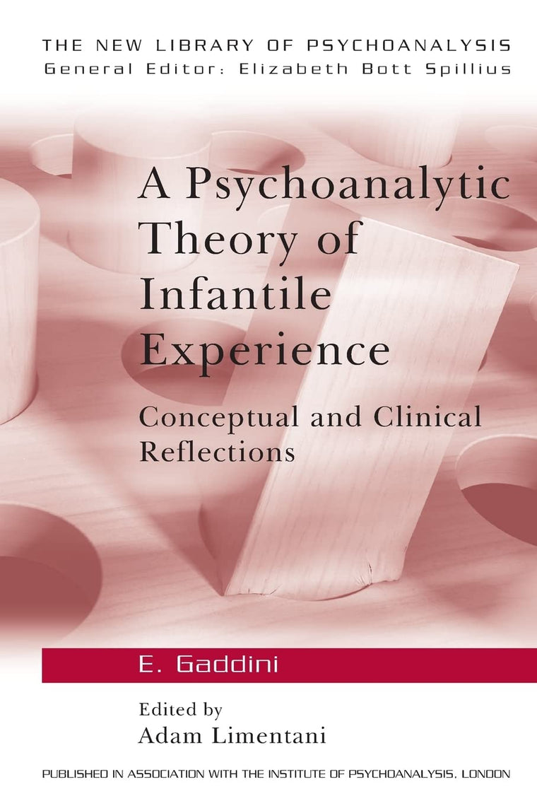 A Psychoanalytic Theory of Infantile Experience (The New Library of Psychoanalysis)