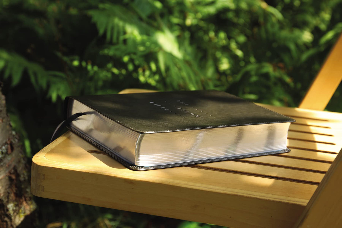 NIV, The Telos Bible, Leathersoft, Charcoal, Comfort Print: A Students Guide Through Scripture