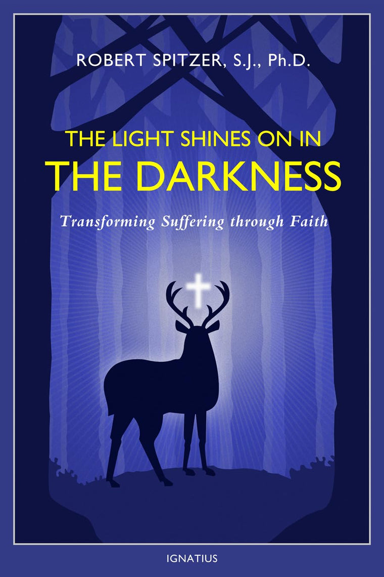 The Light Shines on in the Darkness: Transforming Suffering through Faith (Happiness, Suffering, and Transcendence) (Volume 4)