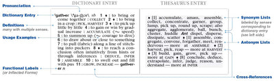 Merriam-Webster's Dictionary and Thesaurus