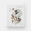 STILL: The Art of Noticing