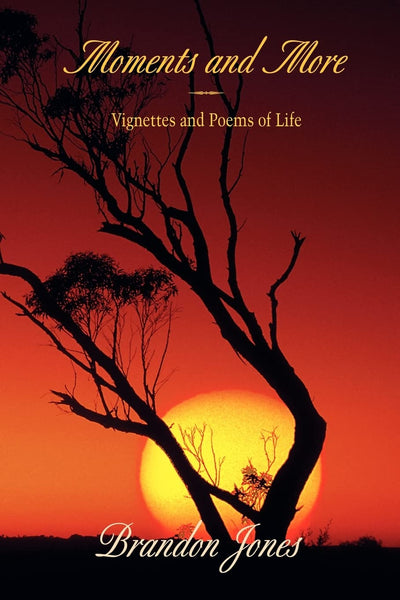 Moments and More: Vignettes and Poems of Life