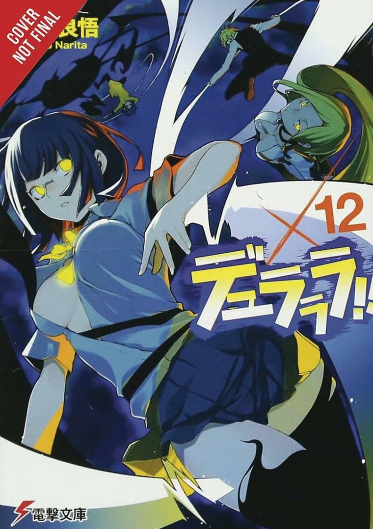 Durarara!!, Vol. 12 (light novel) (Durarara!! (novel), 12)
