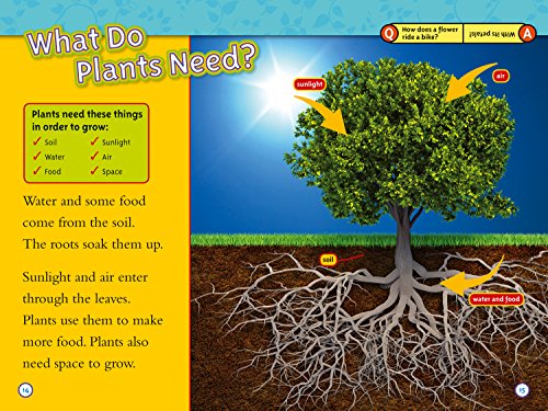NAT GEO READER - SEED TO PLANT