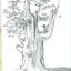 A Tree Is Nice: A Caldecott Award Winner