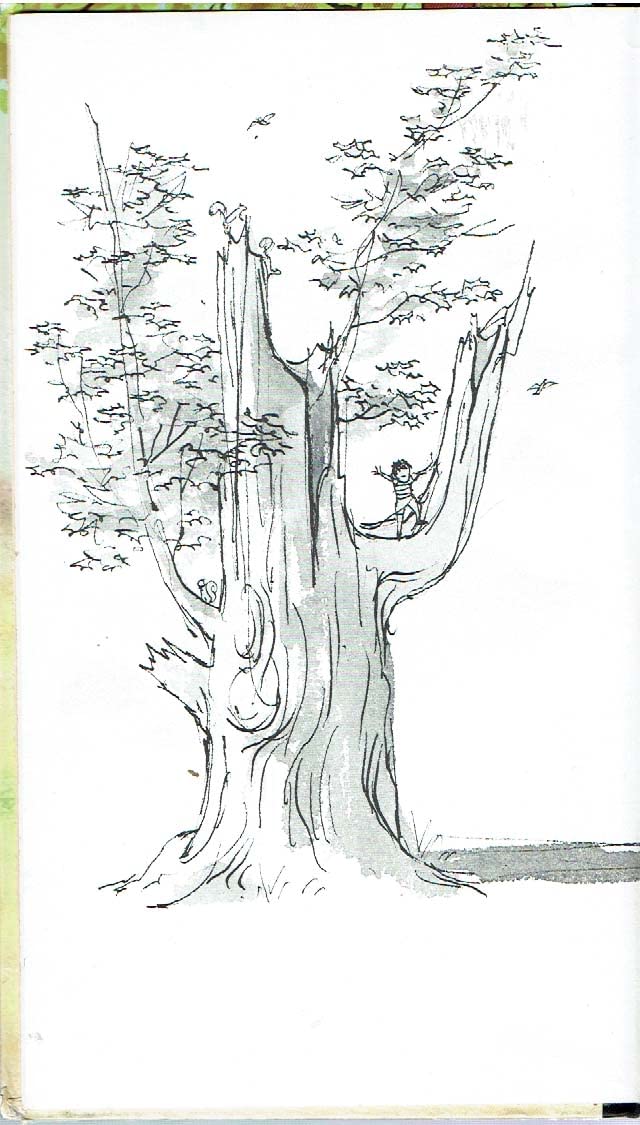 A Tree Is Nice: A Caldecott Award Winner
