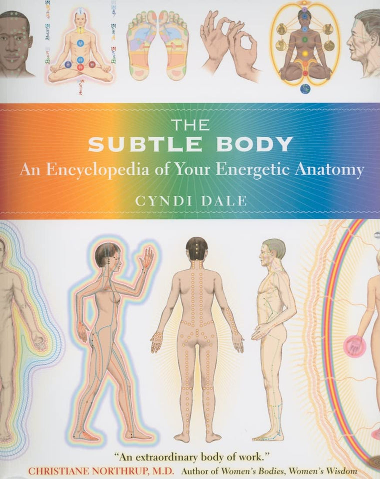 Subtle Body by Cyndi Dale (Paperback)