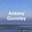 Antony Gormley (Phaidon Contemporary Artists Series)