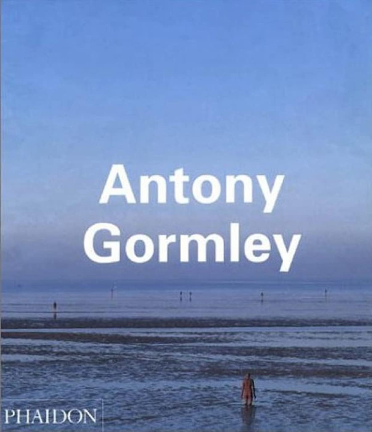 Antony Gormley (Phaidon Contemporary Artists Series)