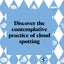 Pocket Nature Series: Cloud Spotting: Observe the Clouds to