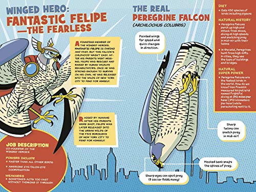 Winged Heroes: For All Birdkind: A Science Graphic Novel