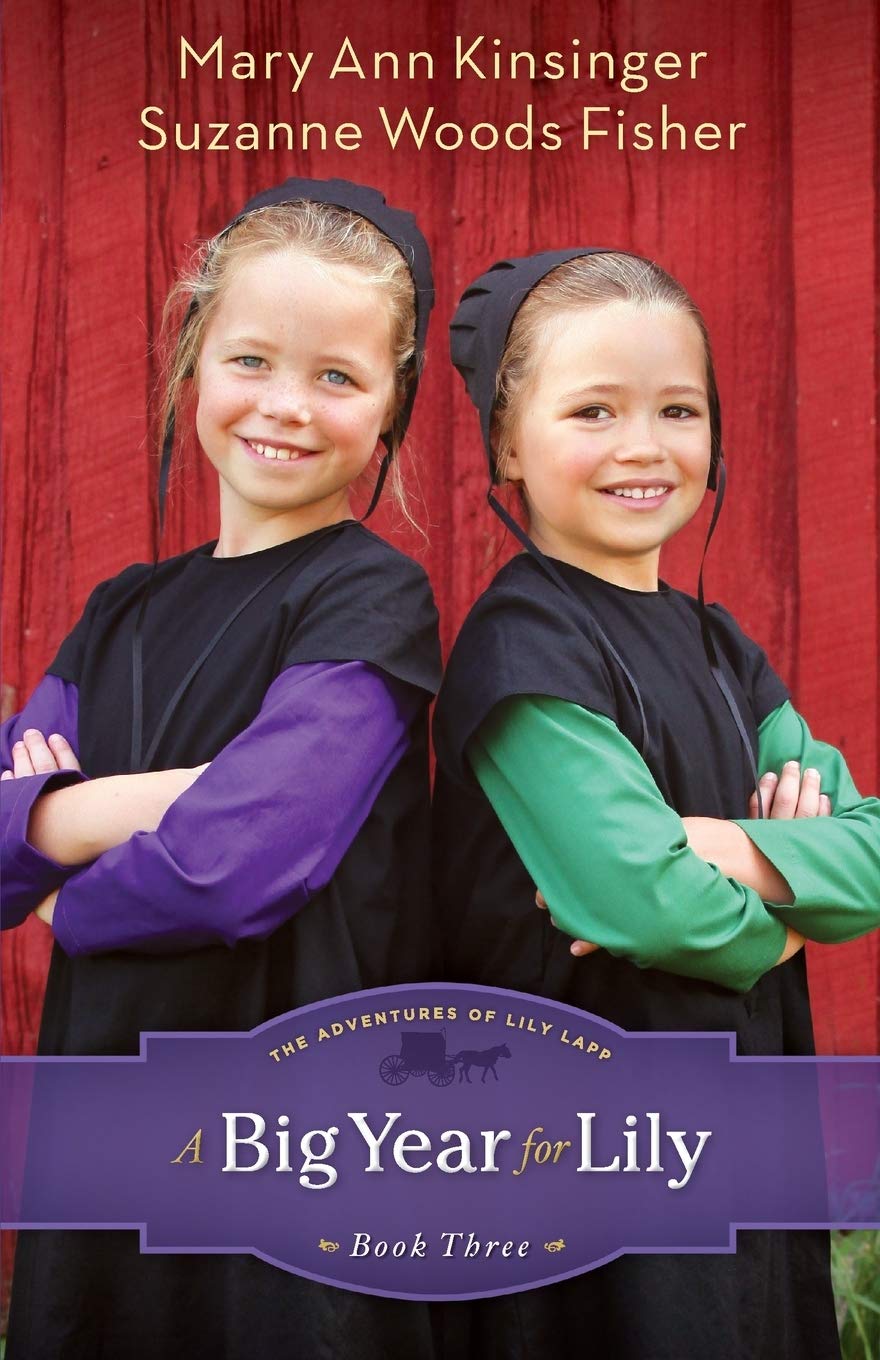 A Big Year for Lily (The Adventures of Lily Lapp)