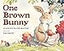 One Brown Bunny