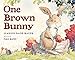 One Brown Bunny