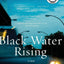 Black Water Rising: A Gripping 1980s Legal Thriller of Crime, Corruption, and Racial Injustice in Houston (Jay Porter Series, 1)
