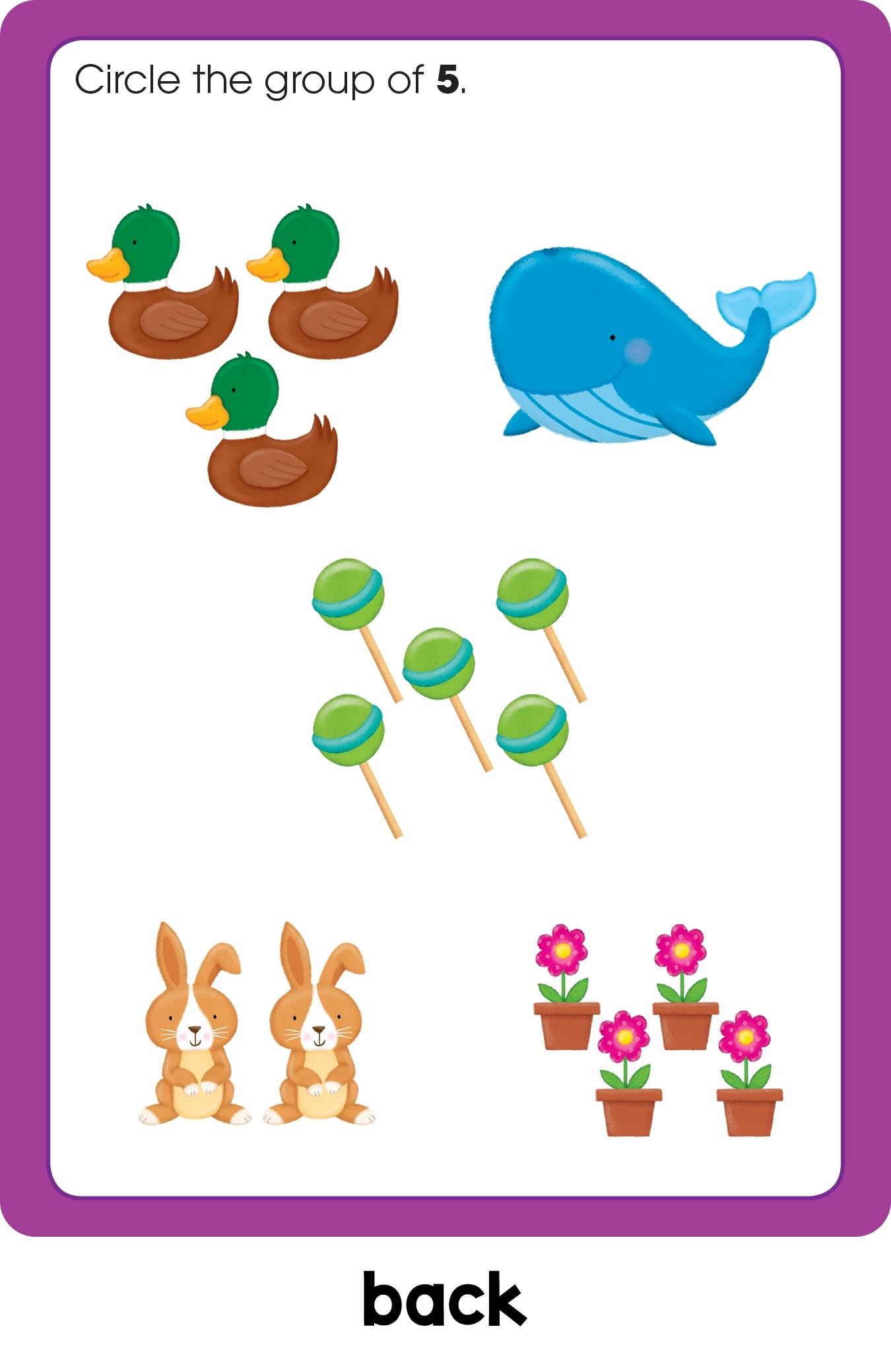 School Zone Preschool Write & Reuse Learning Cards: 32 Interactive Flash Cards, Writing Practice, Letter & Number Recognition, Shapes, Early Math, Wipe Clean, Includes Dry Erase Marker