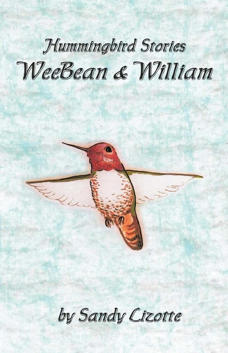 Hummingbird Stories - WeeBean & William: Hummingbird baby and a little boy