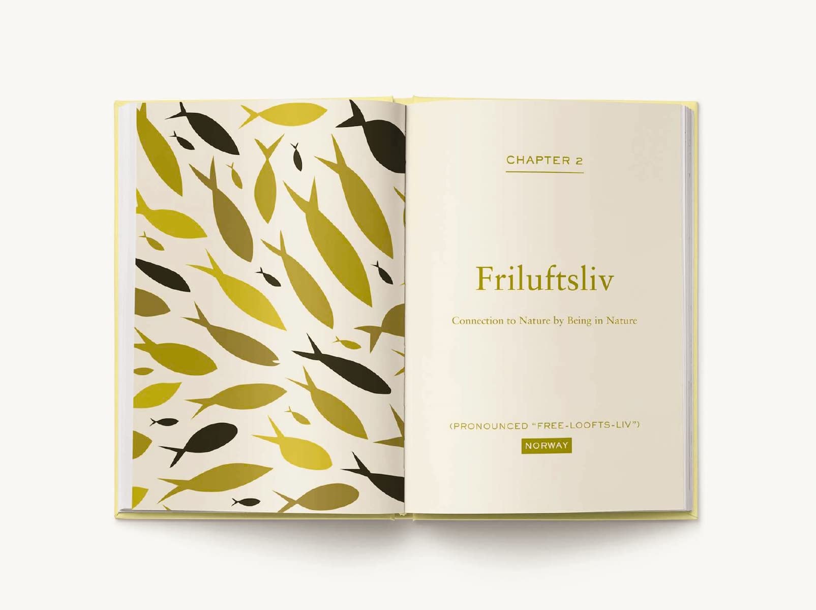 The Scandinavian Guide to Happiness: The Nordic Art of Happy and Balanced Living with Fika, Lagom, Hygge, and More!