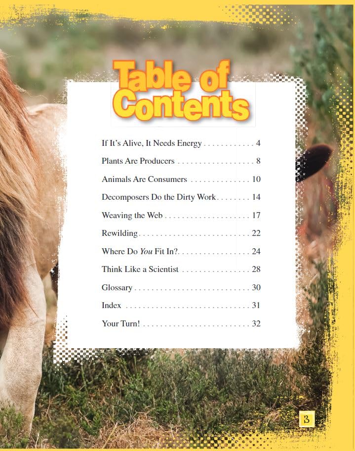 Food Webs (Science Readers: Content and Literacy)