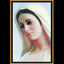 The 4 Keys to Heaven (Marys Call Prayer Books)