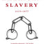 American Slavery: 1619-1877 (10th Anniversary Edition)