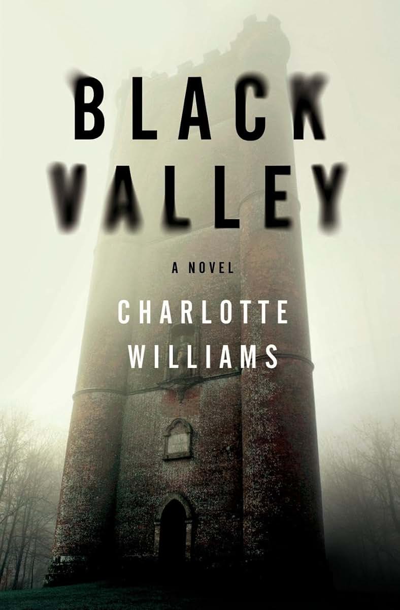 Black Valley: A Novel
