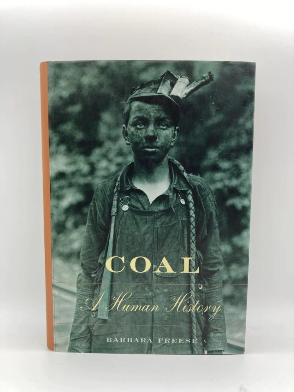 Coal: A Human History