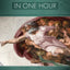 Theology of the Body in One Hour