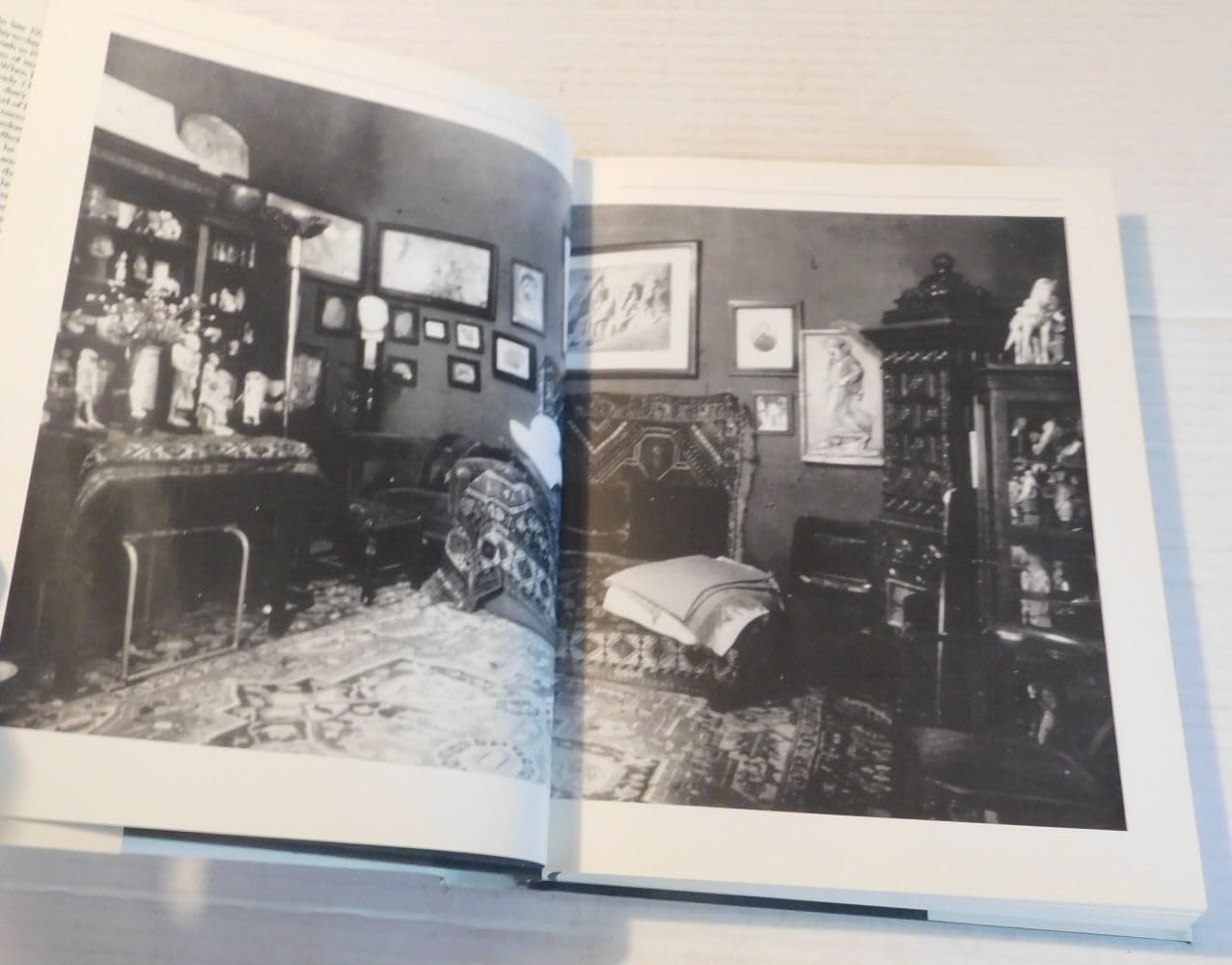 The Diary of Sigmund Freud, 1929-1939: A Record of the Final Decade
