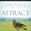 Opposites Attract: Understanding God's Design for Lasting Relationships