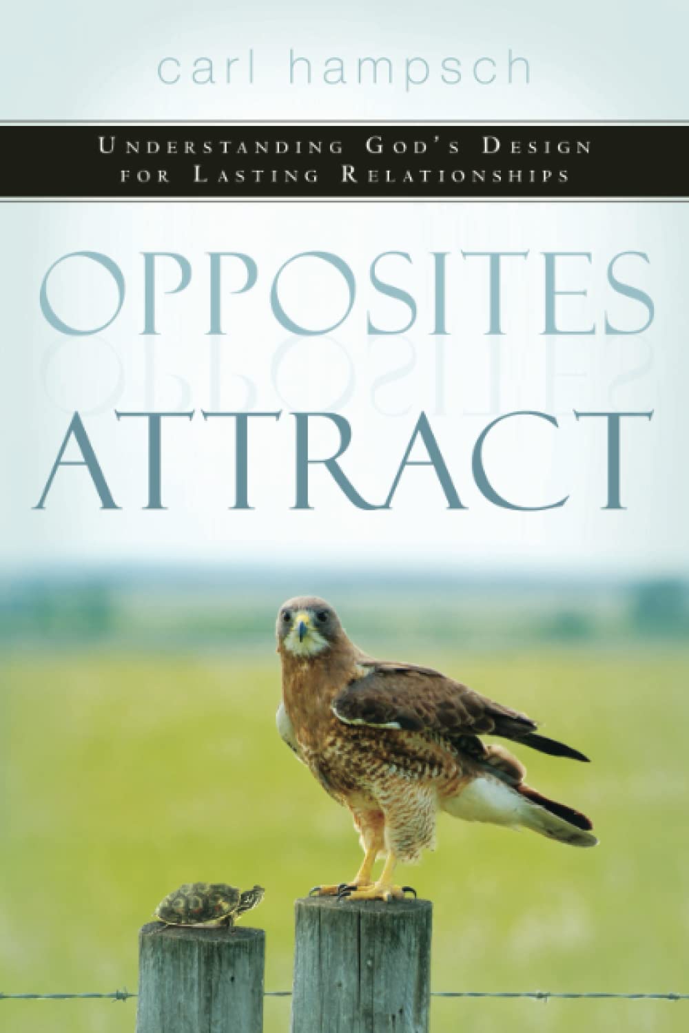 Opposites Attract: Understanding God's Design for Lasting Relationships