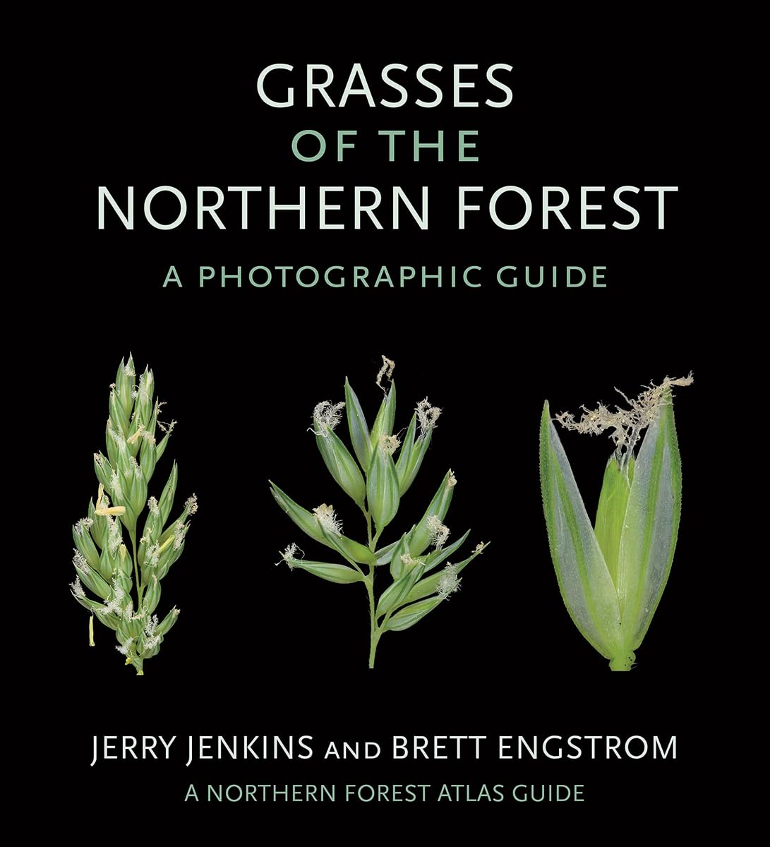 Grasses of the Northern Forest: A Photographic Guide (The Northern Forest Atlas Guides)