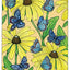Creative Haven NatureScapes Coloring Book (Adult Coloring Books: Nature)