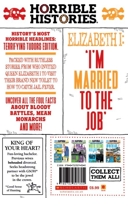 Terrifying Tudors (Horrible Histories)