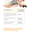 Take Out the Toys: Building Early Toy Play for Children with Autism Spectrum Disorder and Other Social Communication Difficulties
