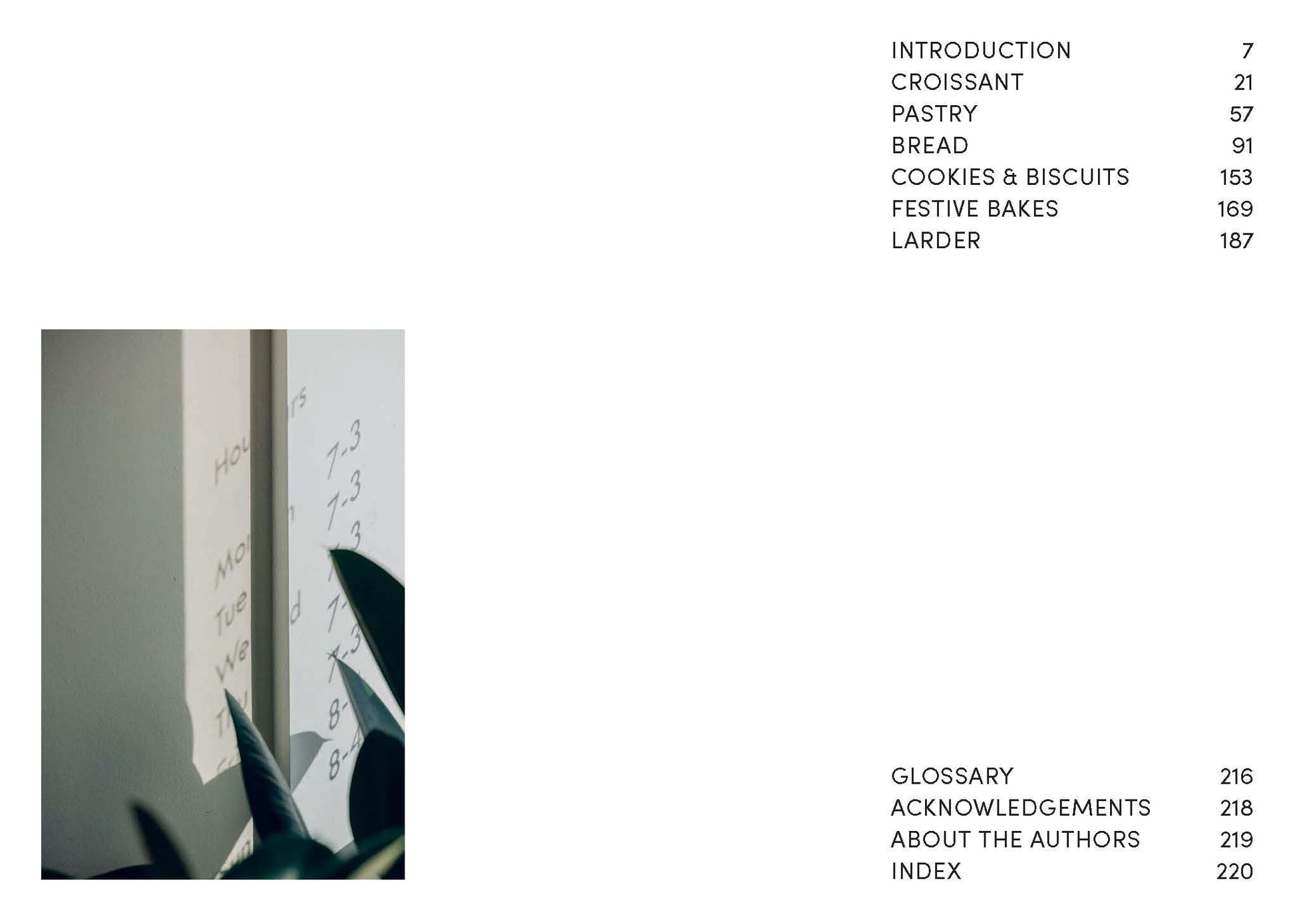 SC?AL: Seasonal Recipes and Stories from a Modern Irish Bakery