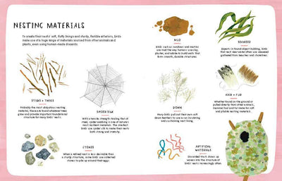 Nests, Eggs, Birds: An Illustrated Aviary