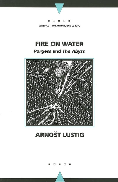 Fire on Water: Porgess and The Abyss (Writings From An Unbound Europe)