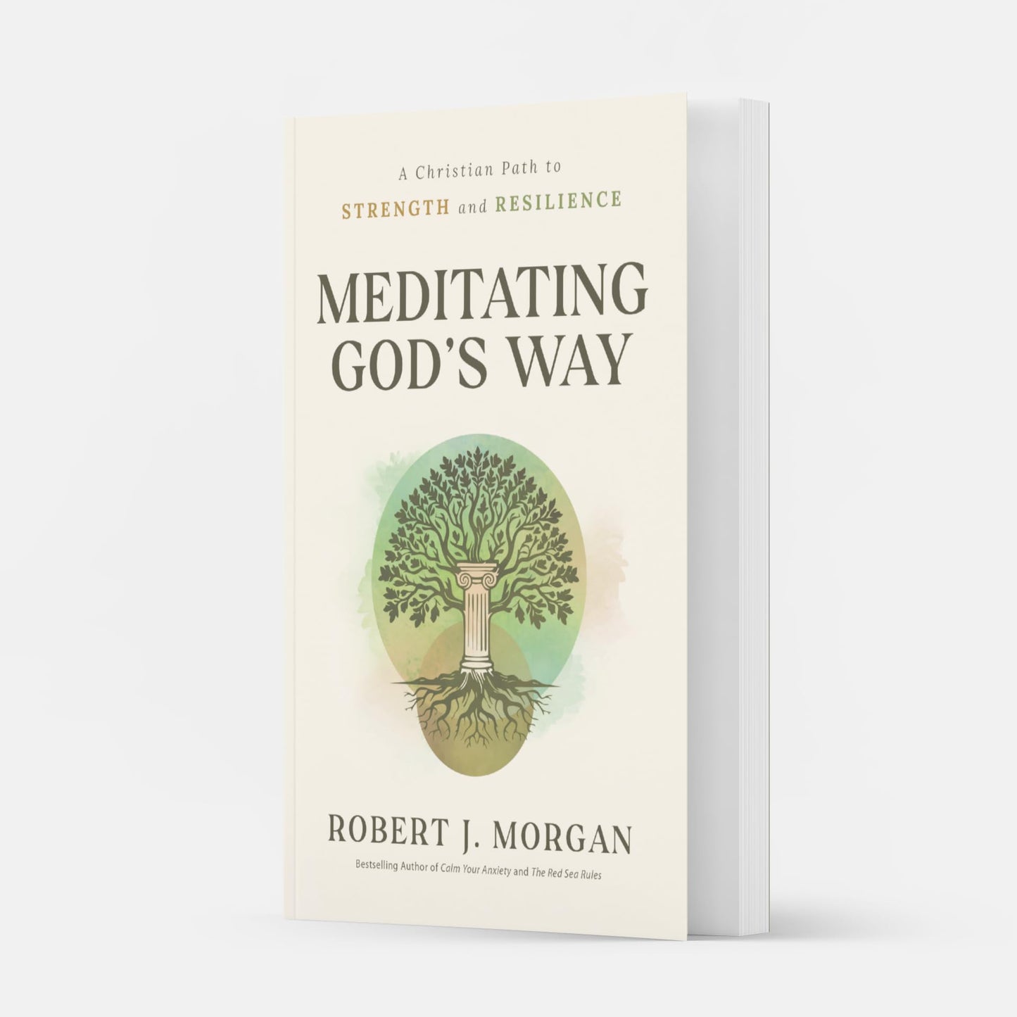 Meditating God's Way: A Christian Path to Strength and Resilience