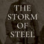 The Storm of Steel: Original 1929 Translation