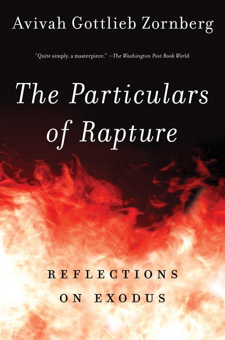 The Particulars of Rapture: Reflections on Exodus by Zornber