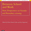 Between School and Work: New Perspectives on Transfer and Boundary Crossing (Advances in Learning and Instruction Series)