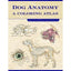 Dog Anatomy: A Coloring Atlas by Robert Kainer