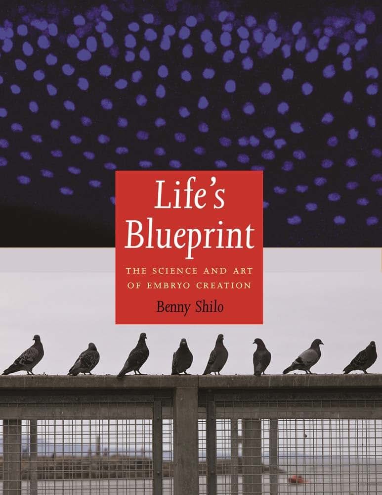Life's Blueprint: The Science and Art of Embryo Creation