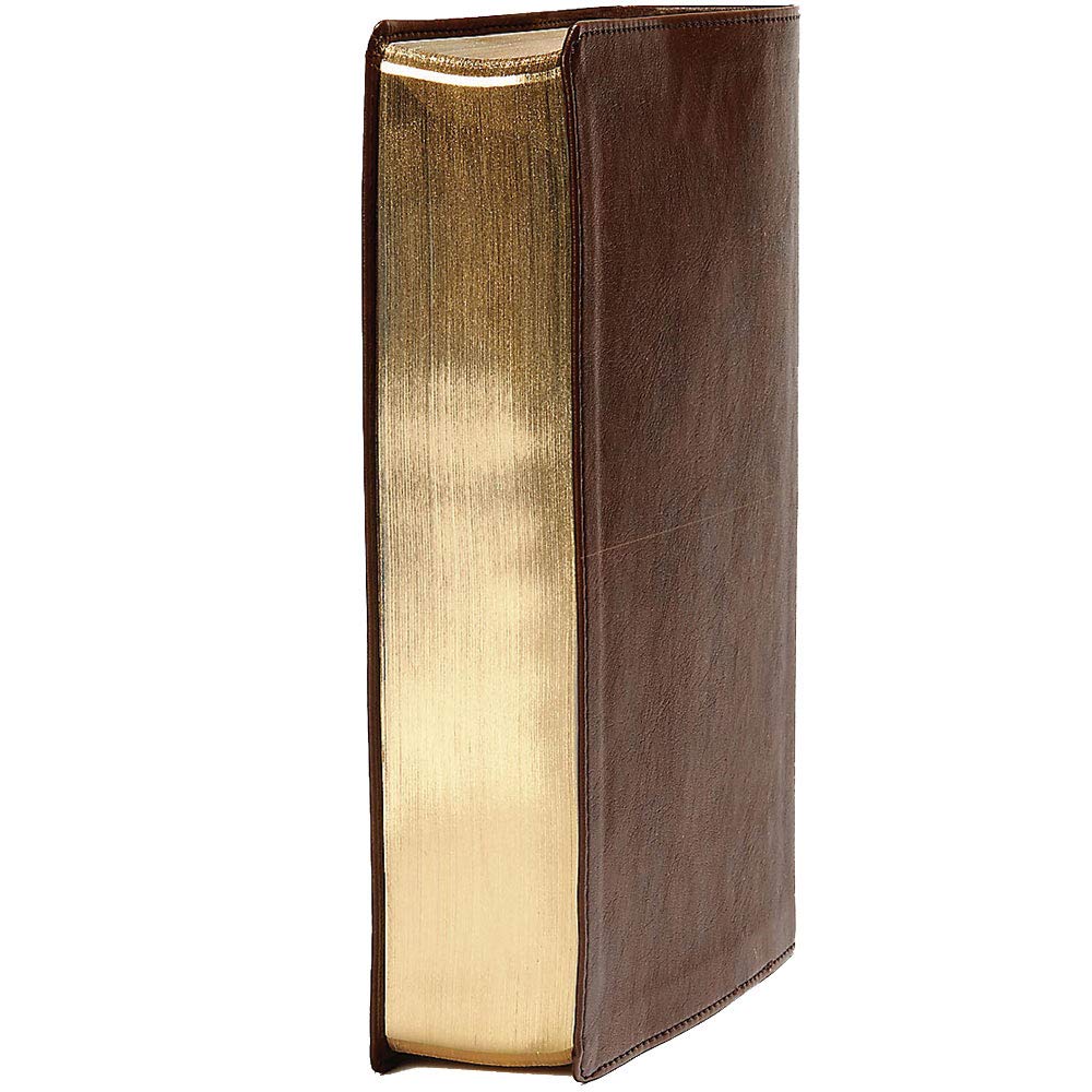 CSB Day-by-Day Chronological Bible, Brown Leathertouch, Black Letter, 365 Day, One Year, Reading Plan, Single-Column, Easy-to-Read Bible Serif Type